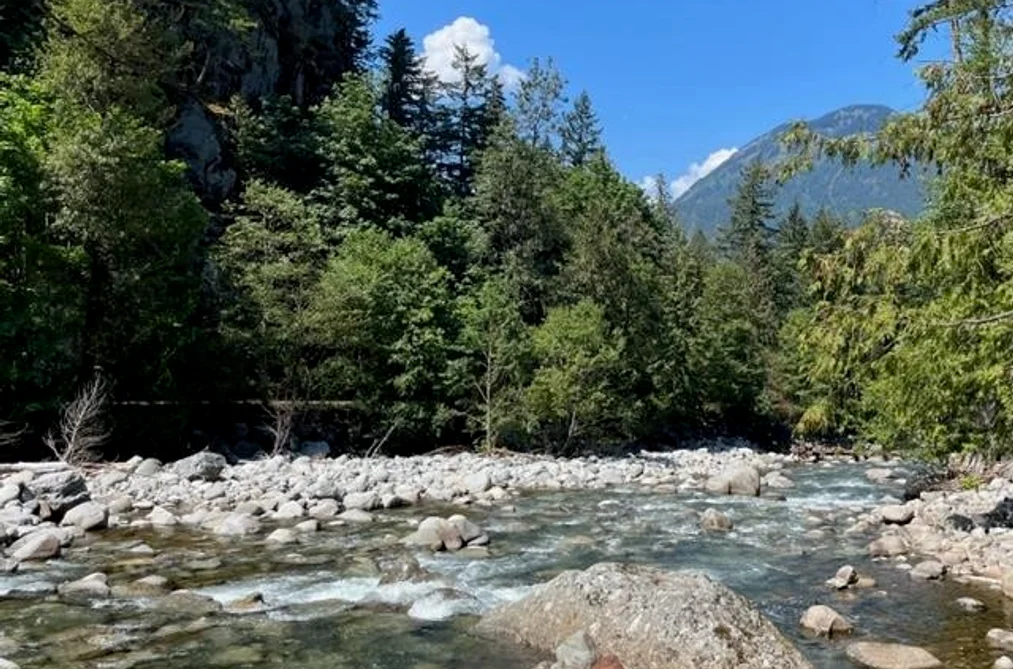 Property for sale at 18 19743 Foster Road Hope British Columbia - MLS: R3124135