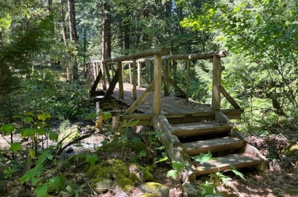 18 19743 FOSTER ROAD, Hope BC V0X 1L2, Hope BC — Land for Sale - Photo 3