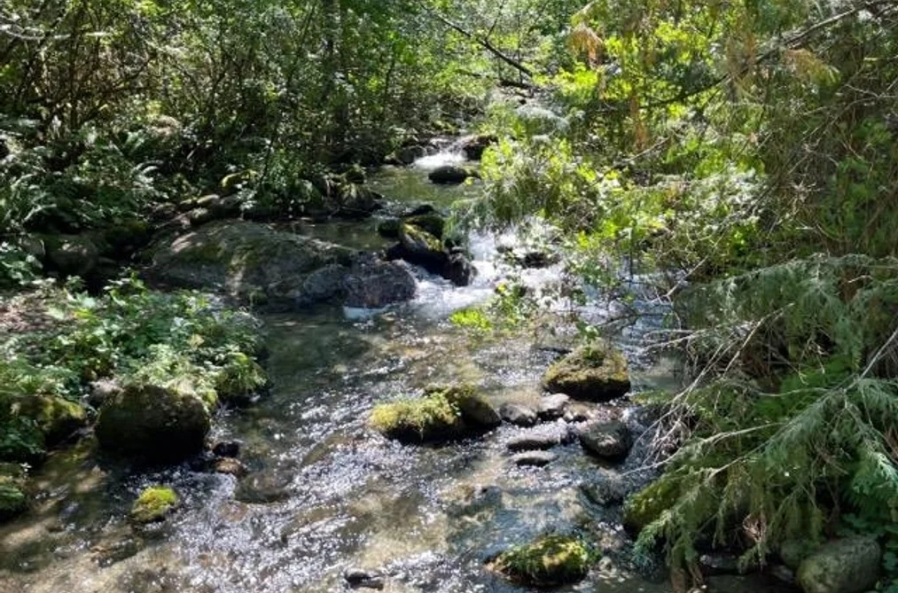 18 19743 FOSTER ROAD, Hope BC V0X 1L2, Hope BC — Land for Sale - Photo 4