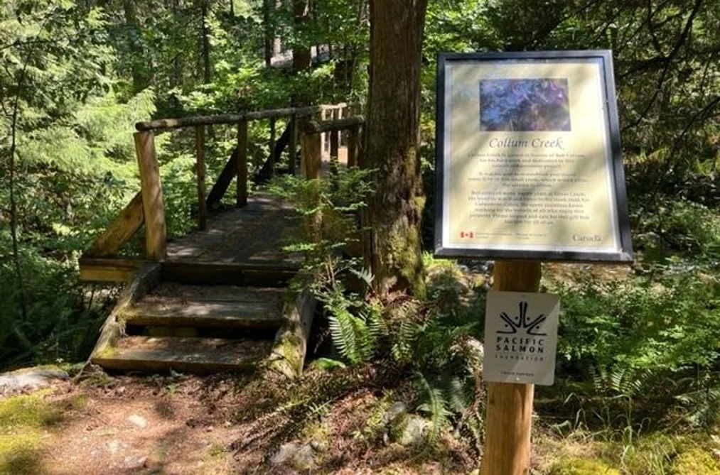 18 19743 FOSTER ROAD, Hope BC V0X 1L2, Hope BC — Land for Sale - Photo 5
