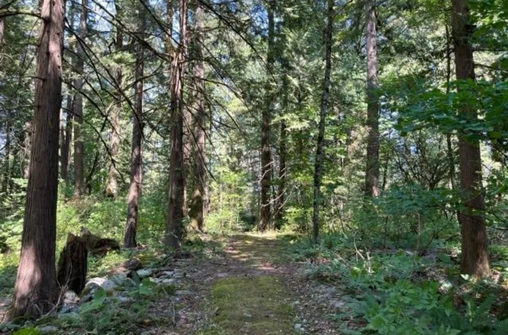 18 19743 FOSTER ROAD, Hope BC V0X 1L2, Hope BC — Land for Sale - Photo 6