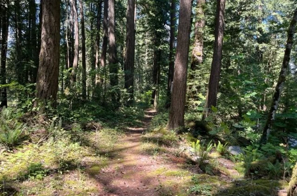 18 19743 FOSTER ROAD, Hope BC V0X 1L2, Hope BC — Land for Sale - Photo 7