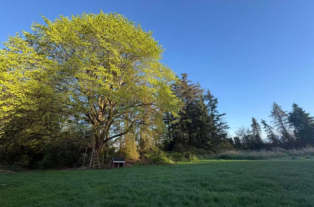 House for sale at 18106 32 Avenue Surrey British Columbia - MLS: R3117502