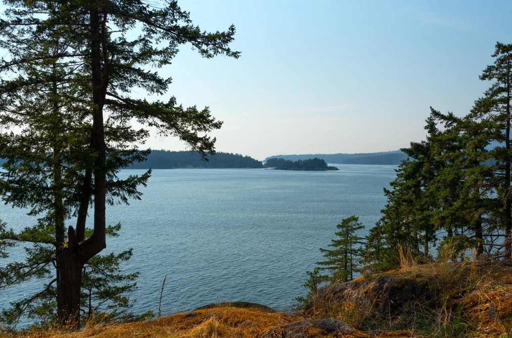 1818 EMILY LANE, Bowen Island BC V0N 1G2, Bowen Island BC — Land for Sale - Photo 5