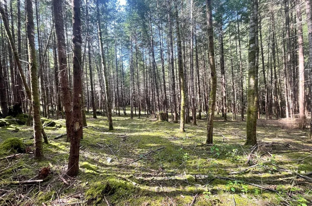 1840 SEYMOUR ROAD, Gabriola Island BC V0R 1X6, Gabriola Island BC — Land for Sale - Photo 2