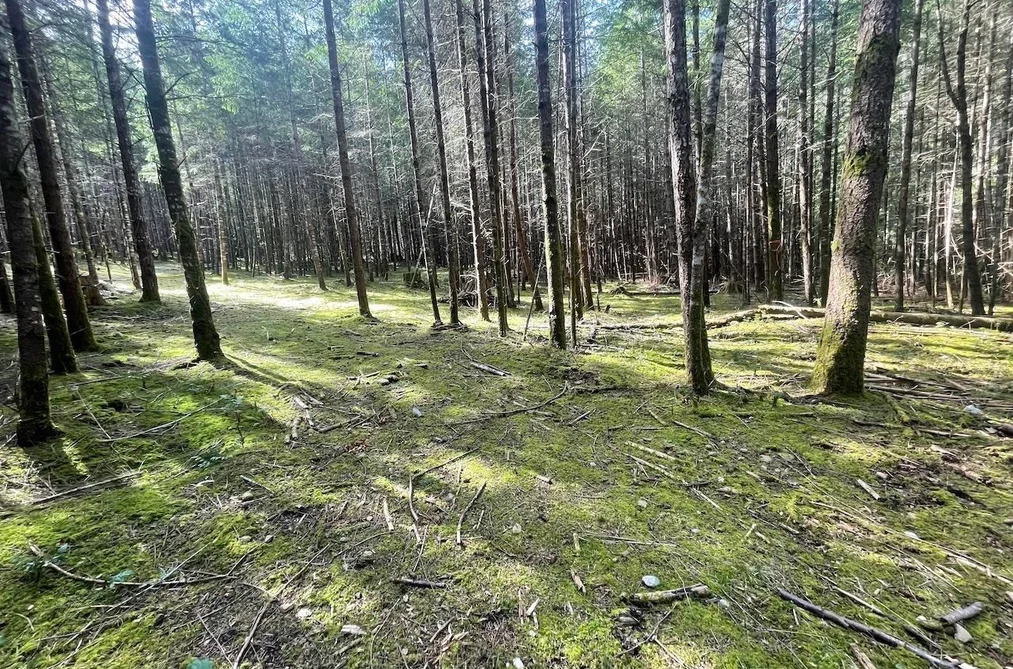 1840 SEYMOUR ROAD, Gabriola Island BC V0R 1X6, Gabriola Island BC — Land for Sale - Photo 3