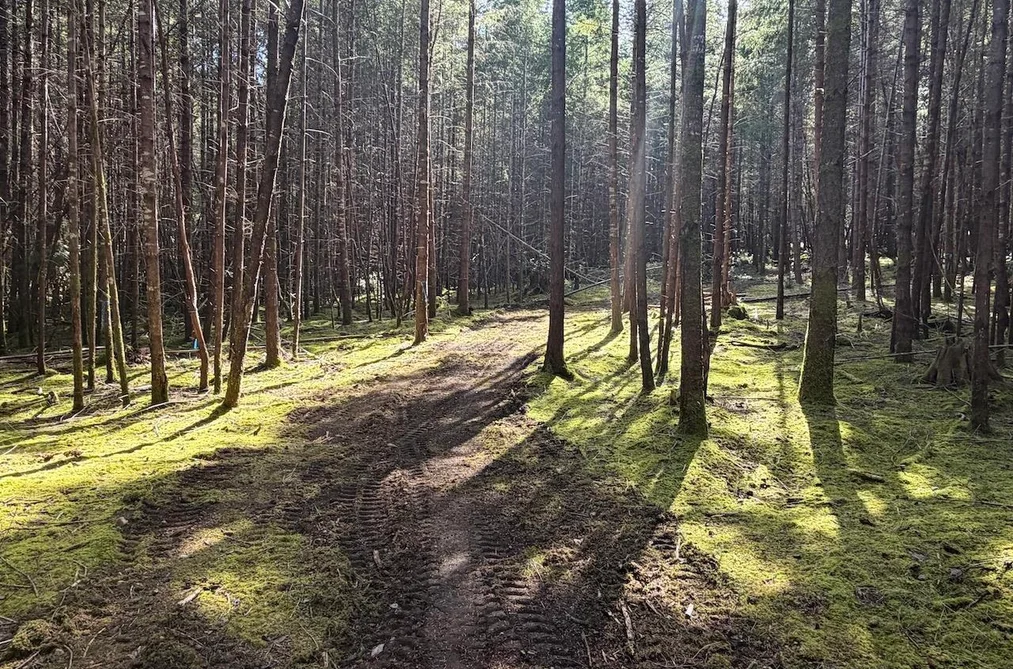 1840 SEYMOUR ROAD, Gabriola Island BC V0R 1X6, Gabriola Island BC — Land for Sale - Photo 6