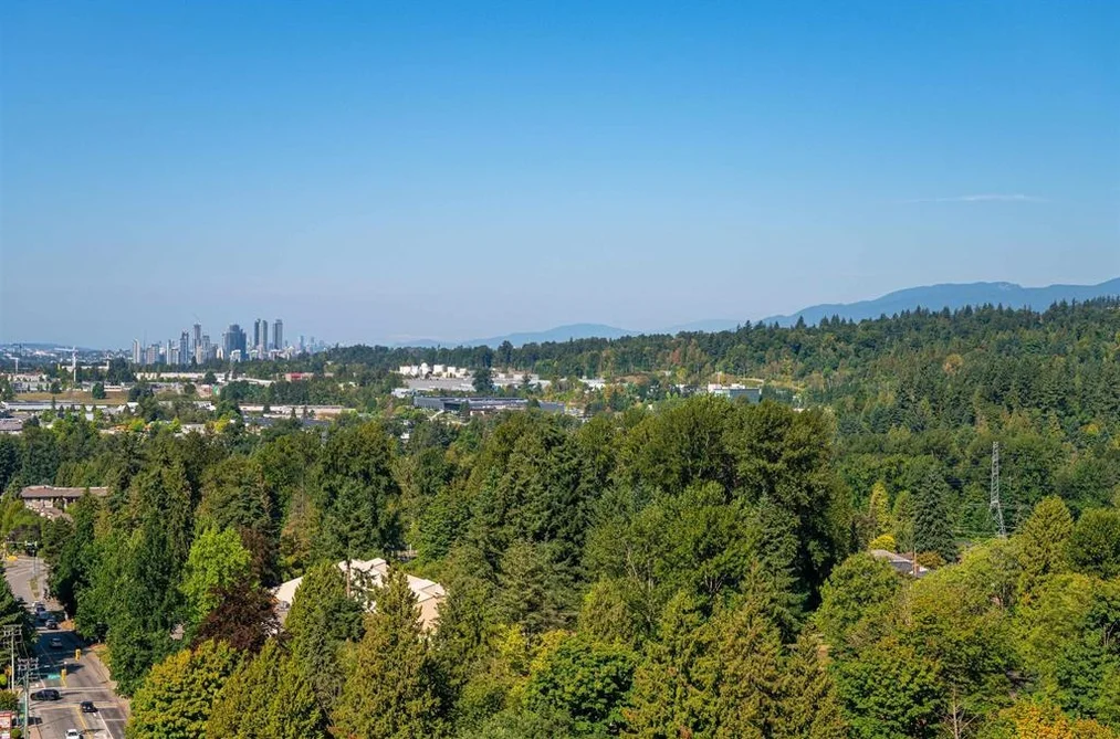 1907 9868 CAMERON STREET, Burnaby BC V3J 0A5, Burnaby BC — Residential for Sale - Photo 2