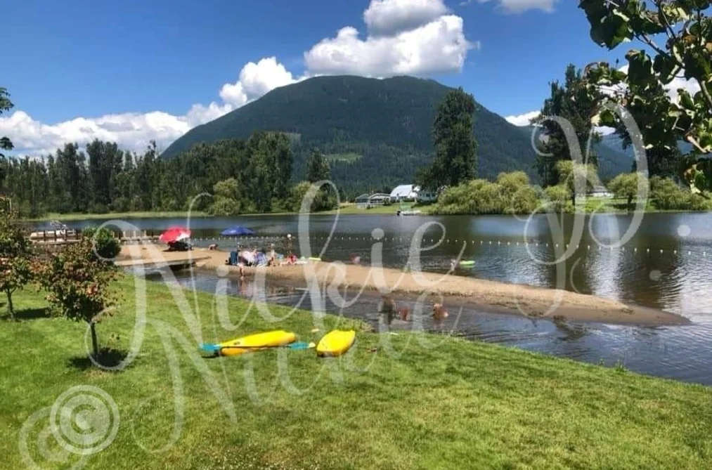 191 8400 SHOOK ROAD, Mission BC V2V 7L3, Mission BC — Land for Sale - Photo 4