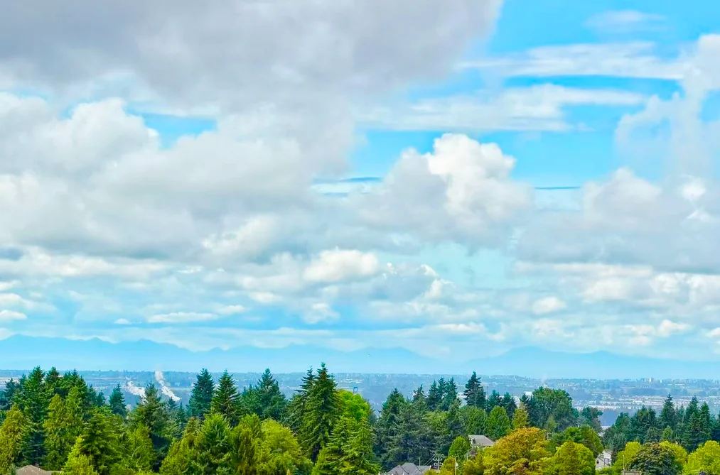 Condo for sale at 1911 10448 University Drive Surrey British Columbia - MLS: R3153081