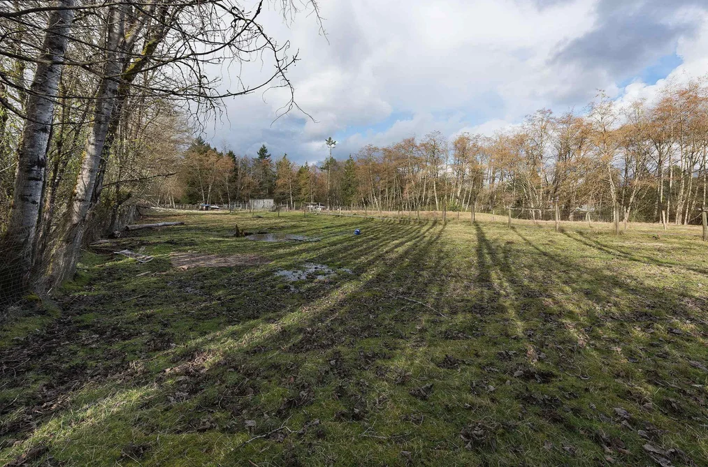 19607 80 AVENUE, Langley BC V3A 4P7, Langley BC — Residential for Sale - Photo 3