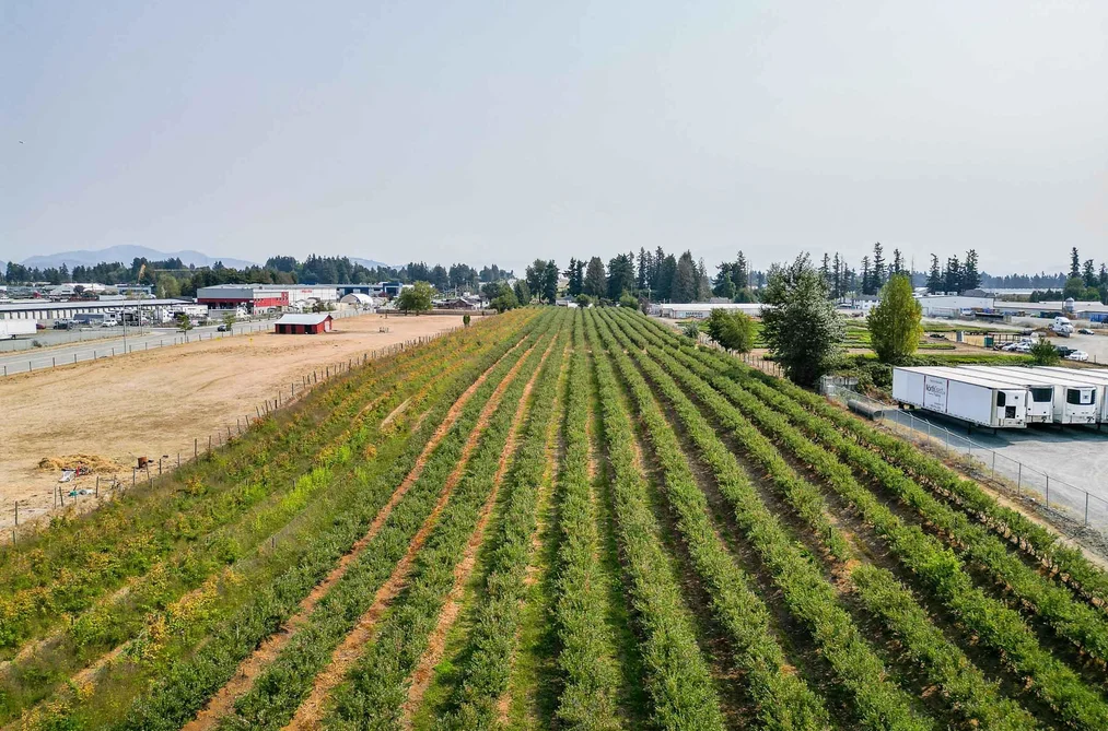 1963 TOWNLINE ROAD, Abbotsford BC V2T 6E2, Abbotsford BC — Residential for Sale - Photo 5