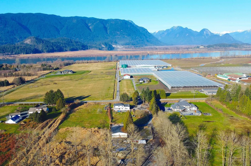 19682 RICHARDSON ROAD, Pitt Meadows BC V3Y 1Z1, Pitt Meadows BC — Residential for Sale - Photo 2