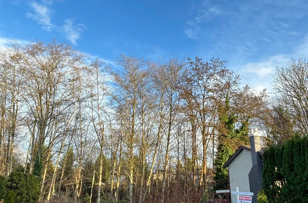 19995 50A AVENUE, Langley BC V3A 6S1, Langley BC — Land for Sale - Photo 6