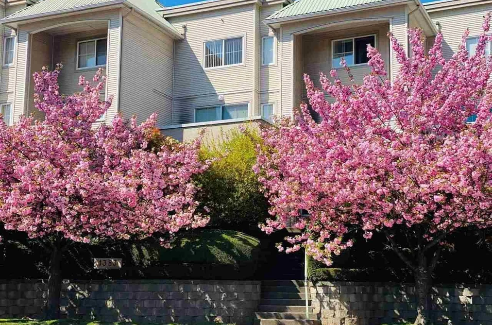 1383 Brunette Ave Unit 2, Coquitlam, BC - MLS: R3171198