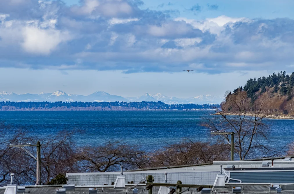 2 14985 VICTORIA AVENUE, White Rock BC V4B 1G2, White Rock BC — Residential for Sale - Photo 2