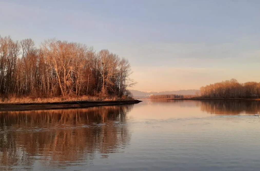 Other for sale at 2 4485 W River Road Delta British Columbia - MLS: R3076124