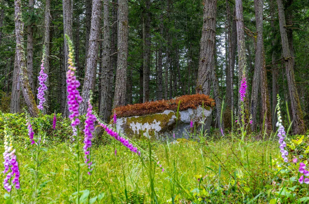 2-861 E BLUFF ROAD, Galiano Island BC V0N 1P0, Galiano Island BC — Land for Sale - Photo 7