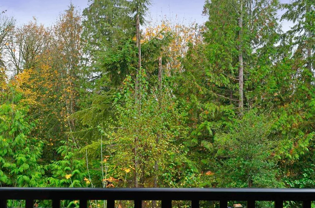 20 13263 236 STREET, Maple Ridge BC V4R 0H3, Maple Ridge BC — Residential for Sale — Photo 10 of 37