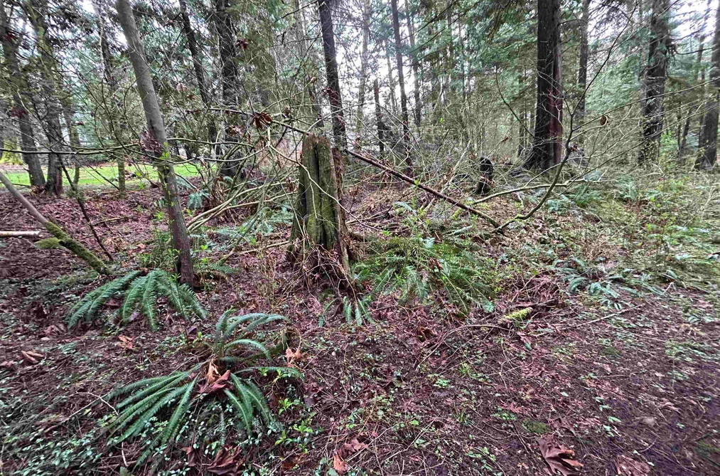 2000 SUNNYSIDE ROAD, Port Moody BC V3H 4Y4, Port Moody BC — Land for Sale - Photo 2