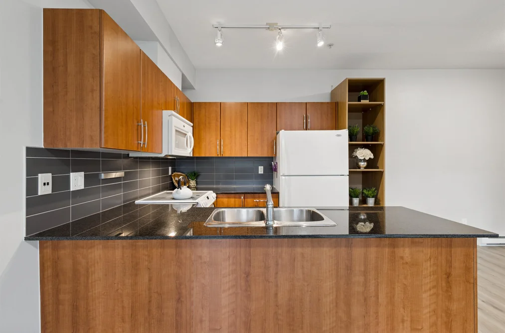 201 1661 FRASER AVENUE, Port Coquitlam BC V3B 0B6, Port Coquitlam BC — Residential for Sale - Photo 4