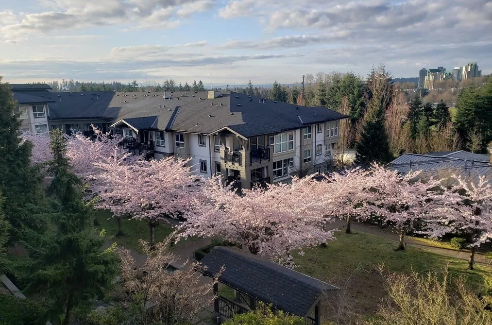 Condo for sale at 201 3082 Dayanee Springs Boulevard Coquitlam British Columbia - MLS: R3119716