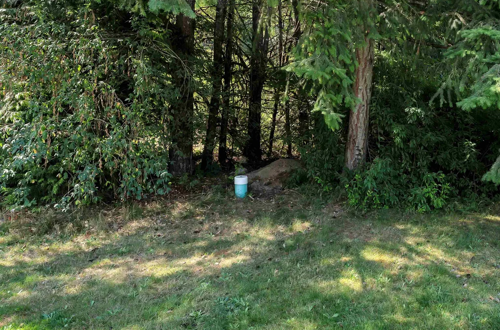 20117 BEACON ROAD, Hope BC V0X 1L2, Hope BC — Land for Sale - Photo 3