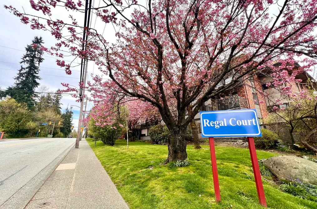 Condo for sale at 202 535 Blue Mountain Street Coquitlam British Columbia - MLS: R3073426