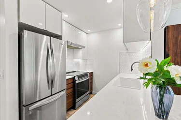 1729 E Georgia St Unit 203, Vancouver, BC - MLS: R3178629