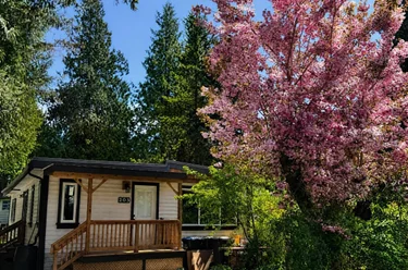 1830 Mamquam Rd Unit 203, Squamish, BC - MLS: R3161945