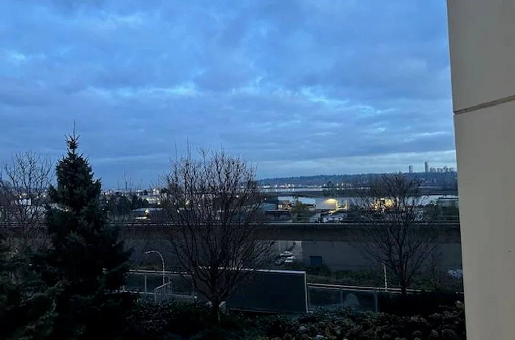 203 200 NELSON'S CRESCENT, New Westminster BC V3L 0H4, New Westminster BC — Residential for Sale - Photo 3