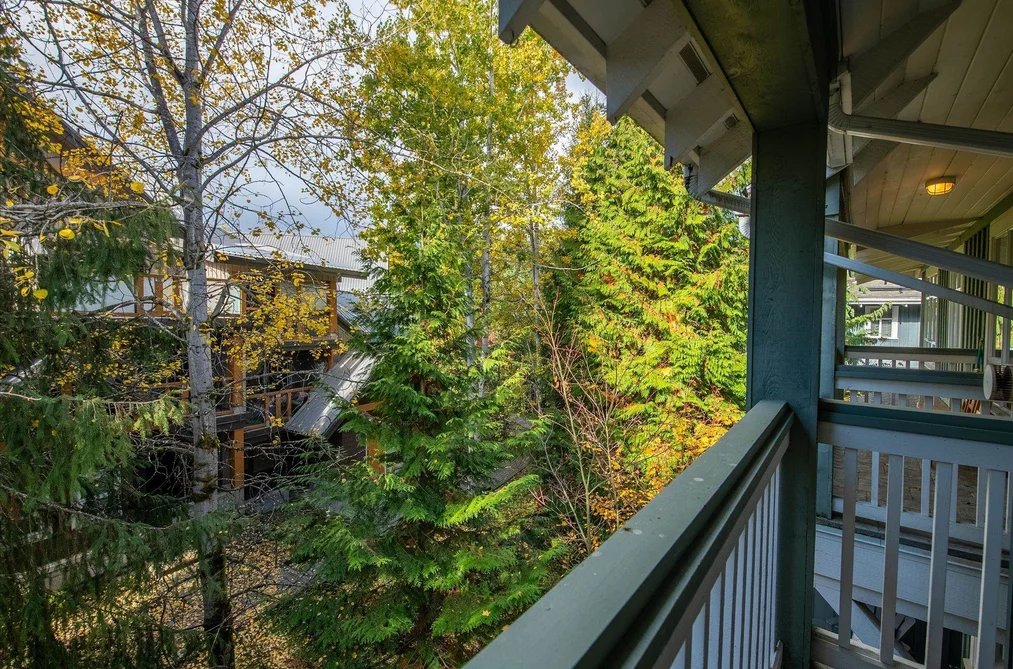 203 4405 BLACKCOMB WAY, Whistler BC V8E 0X7, Whistler BC — Residential for Sale - Photo 5