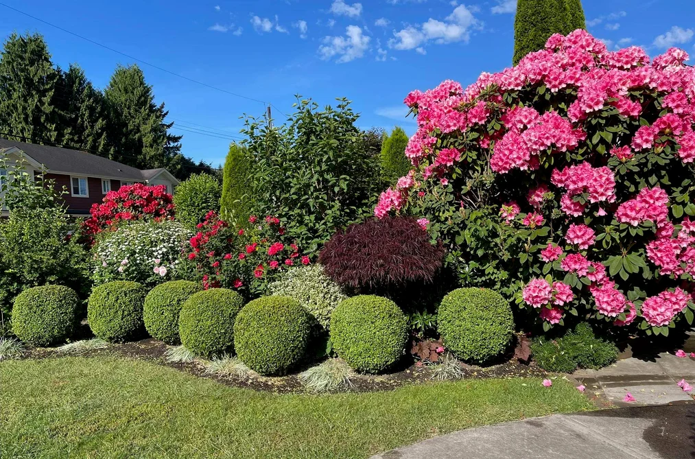 20327 Chatwin Avenue, Maple Ridge, BC - MLS: R3179488 - Photo 36 20327 Chatwin Avenue, Maple Ridge, BC - MLS: R3179488 - Photo 36