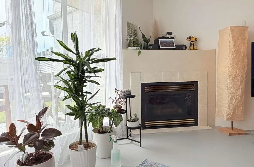 204 22347 LOUGHEED HIGHWAY, Maple Ridge BC V2X 2T3, Maple Ridge BC — Residential for Sale - Photo 2