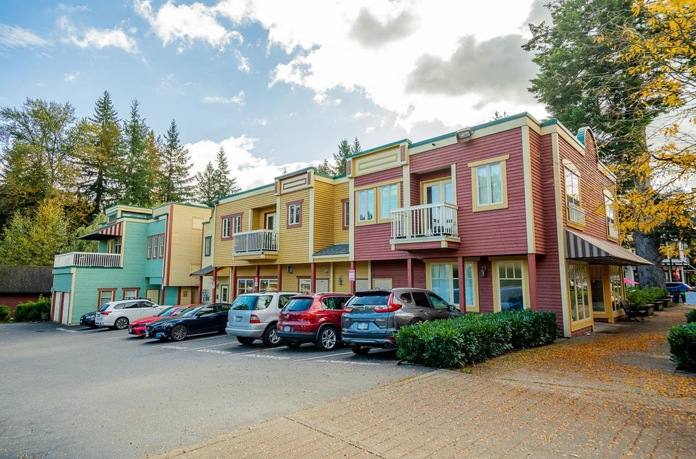 204 - 23343 Mavis Avenue, Langley, BC - MLS: R3179515 - Photo 4 204 - 23343 Mavis Avenue, Langley, BC - MLS: R3179515 - Photo 4