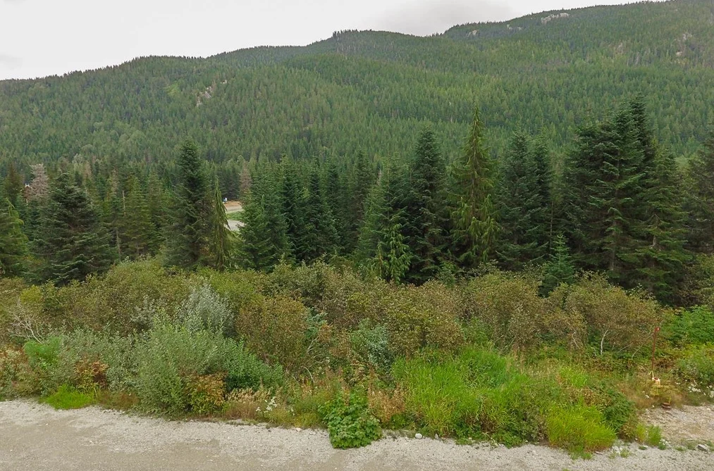 20478 EDELWEISS DRIVE, Mission BC V0M 1A1, Mission BC — Land for Sale - Photo 2