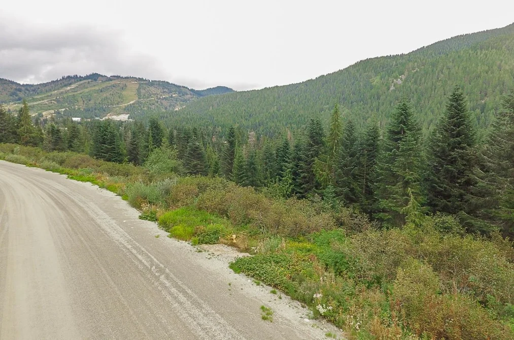 20478 EDELWEISS DRIVE, Mission BC V0M 1A1, Mission BC — Land for Sale - Photo 3