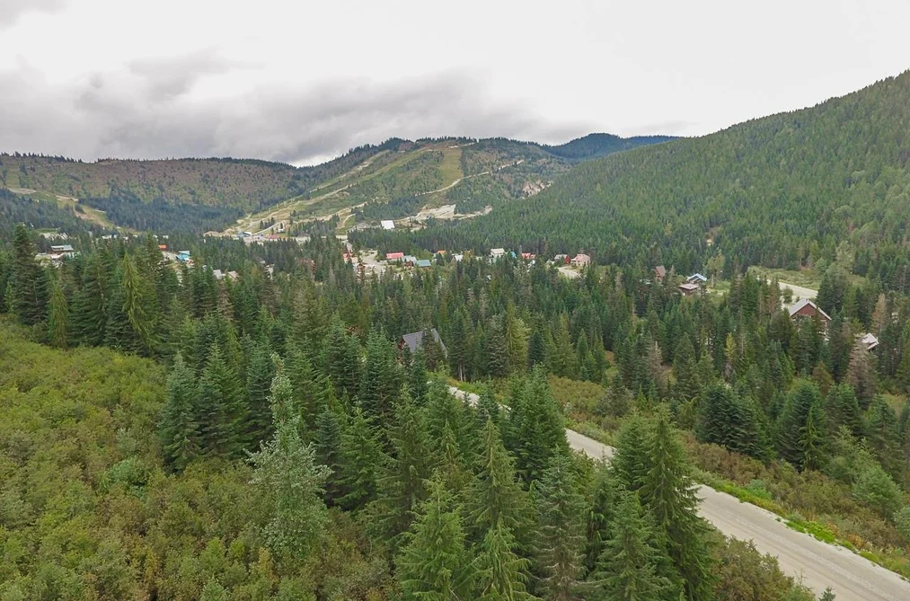 20478 EDELWEISS DRIVE, Mission BC V0M 1A1, Mission BC — Land for Sale - Photo 5
