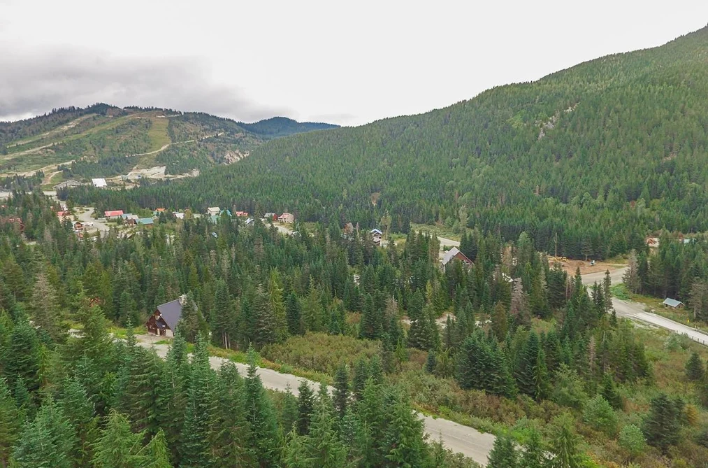 20478 EDELWEISS DRIVE, Mission BC V0M 1A1, Mission BC — Land for Sale - Photo 7