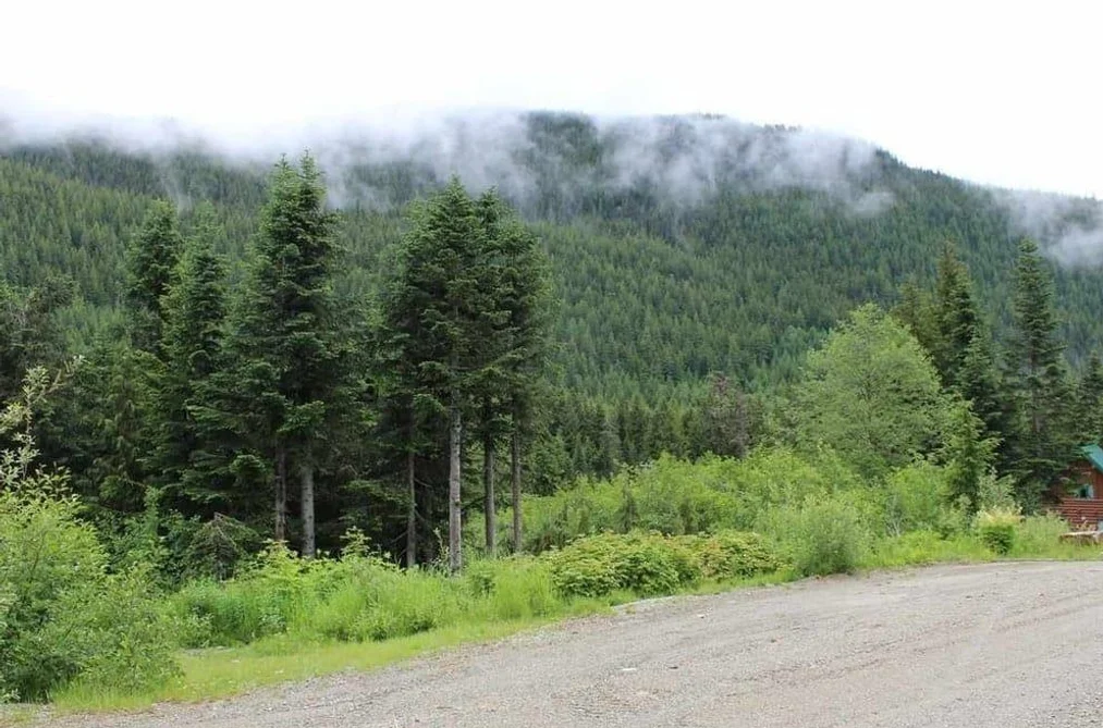 20498 EDELWEISS DRIVE, Mission BC V0M 1A1, Mission BC — Land for Sale - Photo 3