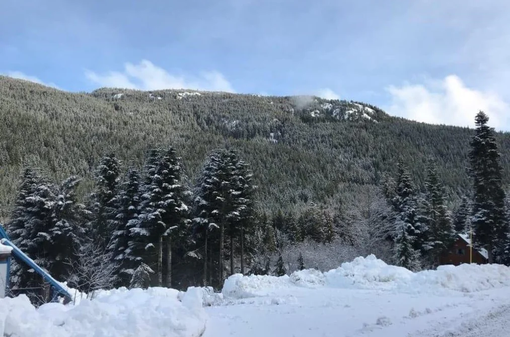 20498 EDELWEISS DRIVE, Mission BC V0M 1A1, Mission BC — Land for Sale - Photo 4