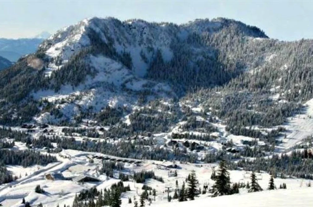 20498 EDELWEISS DRIVE, Mission BC V0M 1A1, Mission BC — Land for Sale - Photo 6