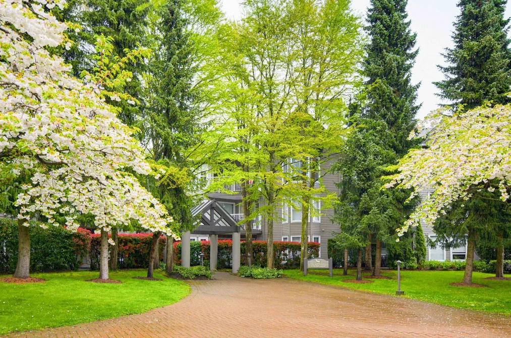 Condo for sale at 206 15150 108 Avenue Surrey British Columbia - MLS: R3111473