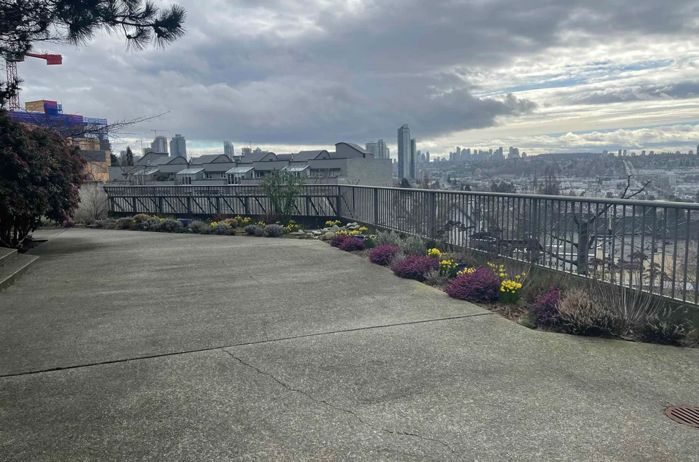 206 3760 ALBERT STREET, Burnaby BC V5C 5Y8, Burnaby BC — Residential for Sale - Photo 4