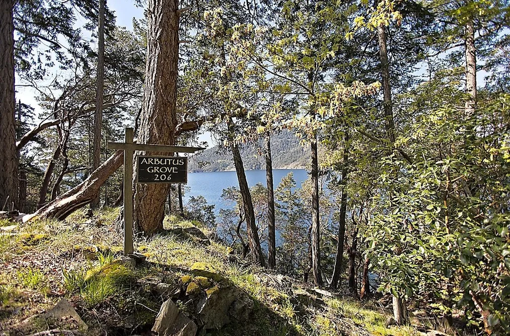 206 NARROWS WEST ROAD, Salt Spring Island BC V8K 0A3, Salt Spring Island BC — Land for Sale - Photo 2