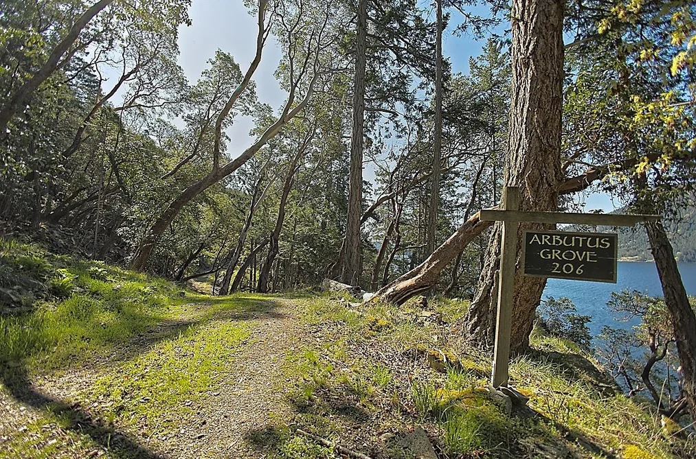 206 NARROWS WEST ROAD, Salt Spring Island BC V8K 0A3, Salt Spring Island BC — Land for Sale - Photo 3