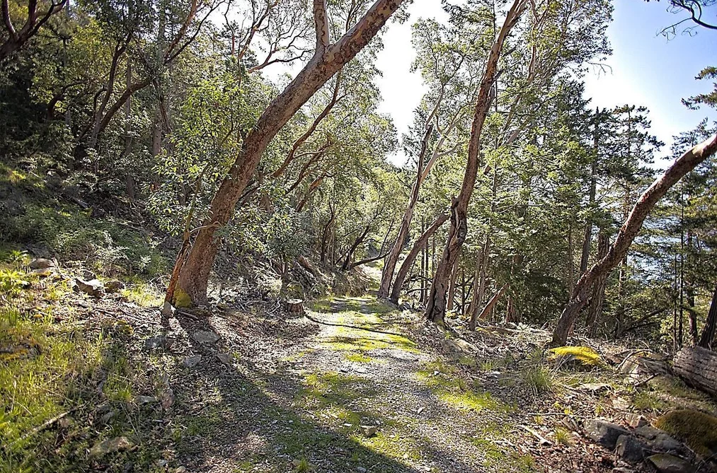 206 NARROWS WEST ROAD, Salt Spring Island BC V8K 0A3, Salt Spring Island BC — Land for Sale - Photo 4