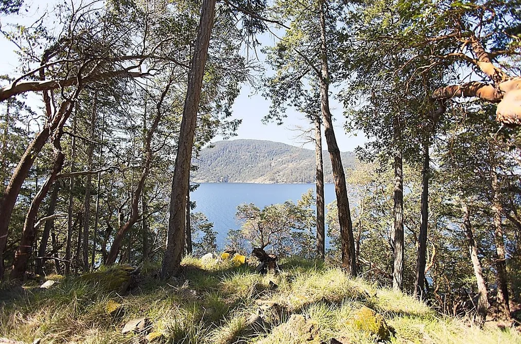 206 NARROWS WEST ROAD, Salt Spring Island BC V8K 0A3, Salt Spring Island BC — Land for Sale - Photo 5