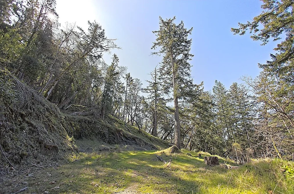 206 NARROWS WEST ROAD, Salt Spring Island BC V8K 0A3, Salt Spring Island BC — Land for Sale - Photo 7