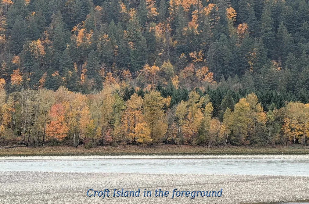 20600 LANDSTROM ROAD, Hope BC V0X 1L3, Hope BC — Land for Sale - Photo 4